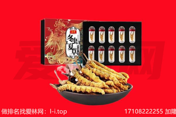 深圳坪山区回收虫草.jpg